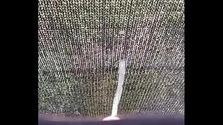 Desperate festival pissing